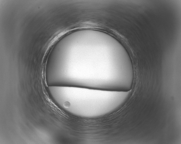 X0000086311415200703300944