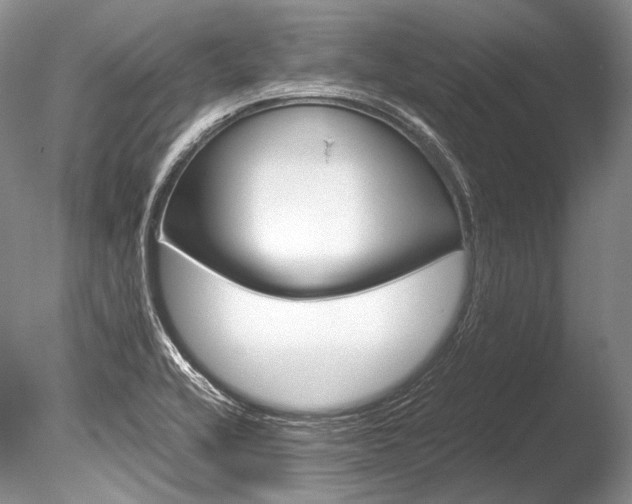 X0000086311416200703300944