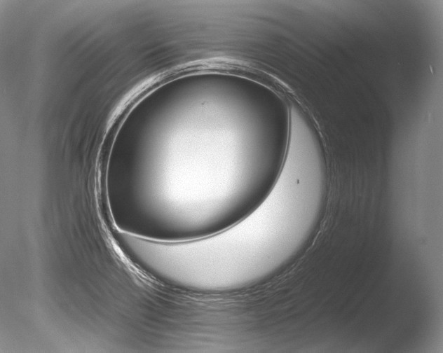 X0000086311418200703300944