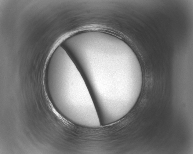 X0000086311421200703300944