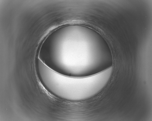 X0000086311422200703300944