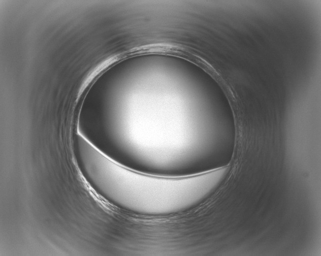 X0000086311426200703300944