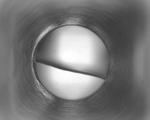 X0000086311427200703300944