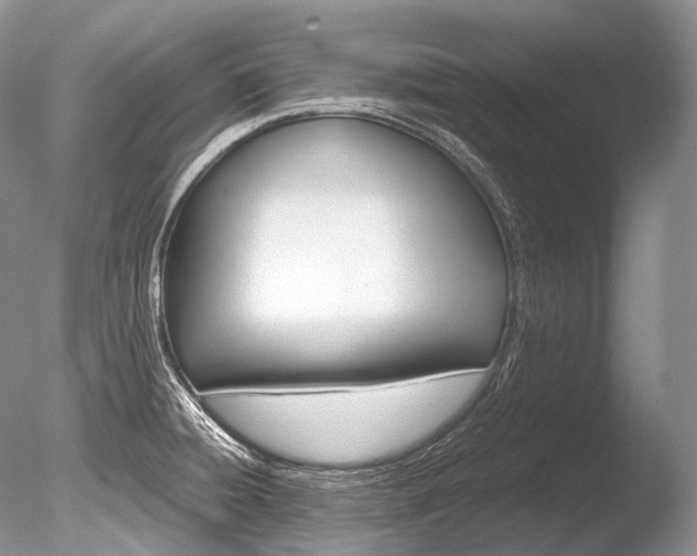 X0000086311428200703300944
