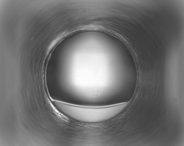 X0000086311430200703300944