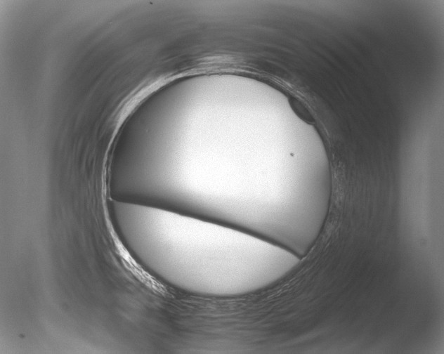X0000086311431200703300944