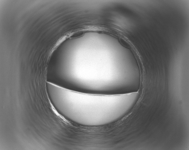 X0000086311433200703300944