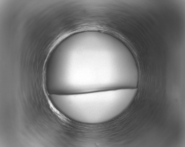 X0000086311439200703300944