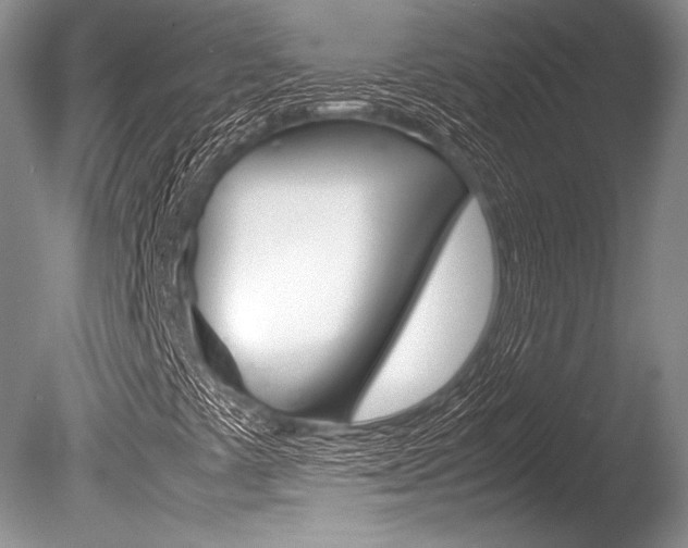X0000086311441200703300944