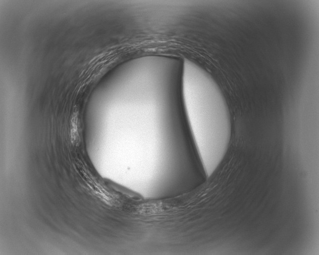 X0000086311444200703300944