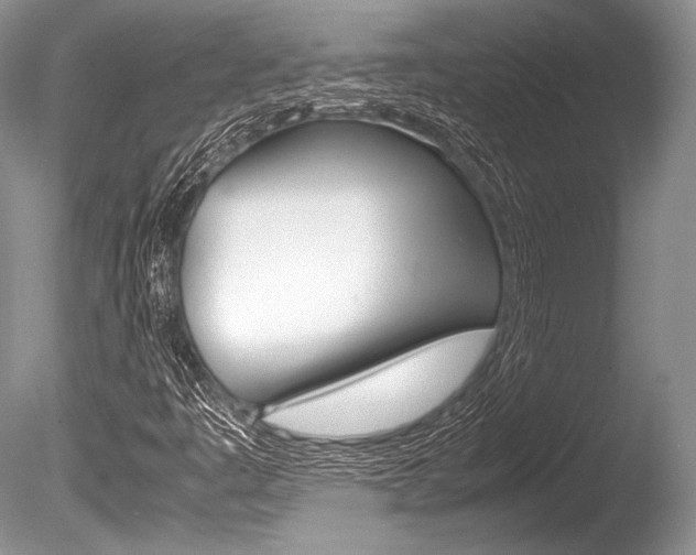 X0000086311445200703300944