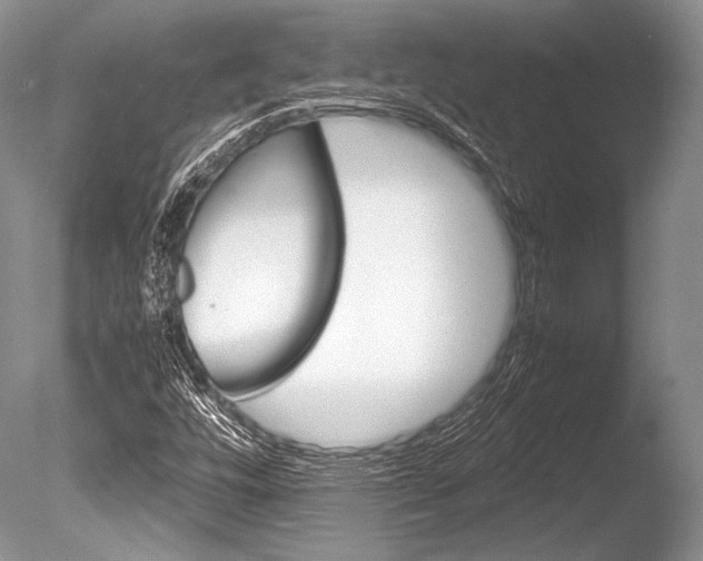 X0000086311448200703300943
