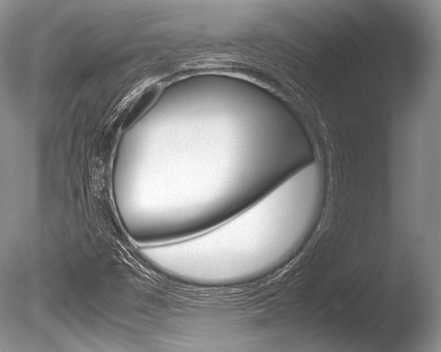 X0000086311449200703300943