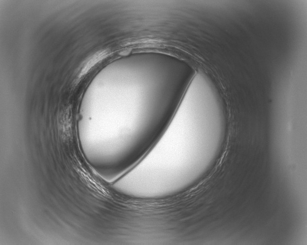 X0000086311450200703300943