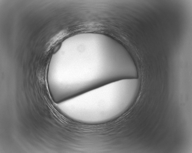X0000086311451200703300943