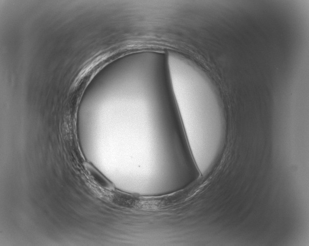 X0000086311453200703300943