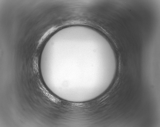 X0000086311454200703300943