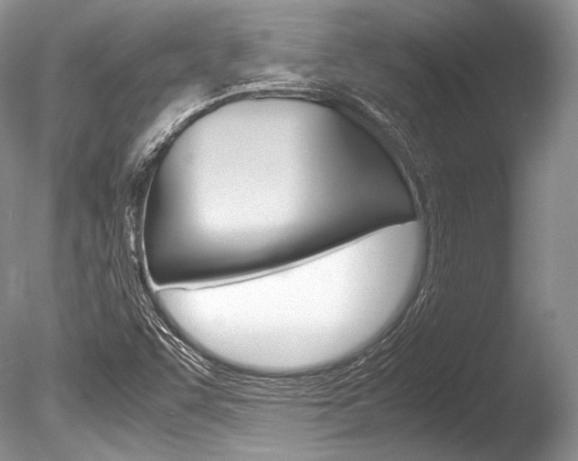 X0000086311455200703300943