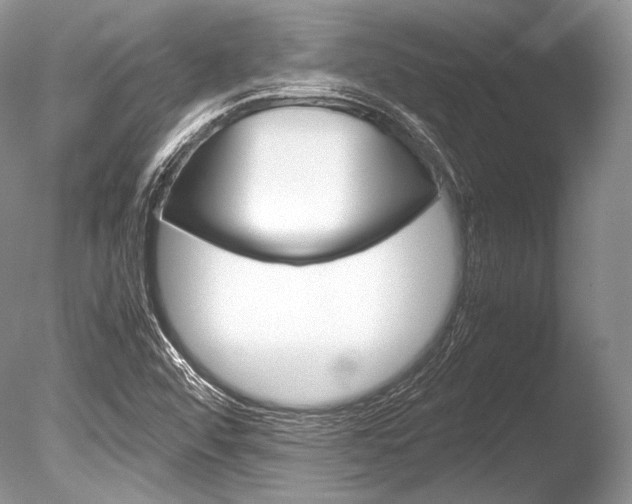 X0000086311456200703300943