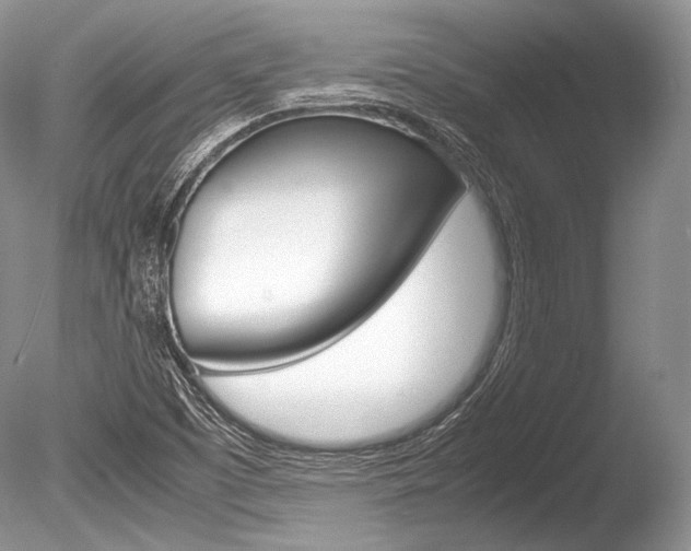X0000086311457200703300943
