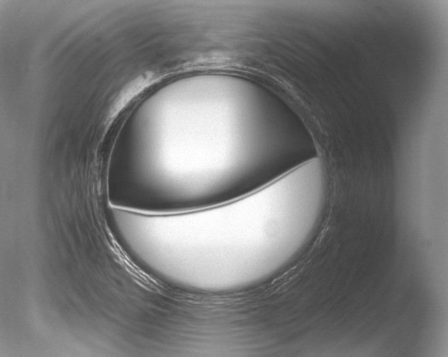 X0000086311458200703300943