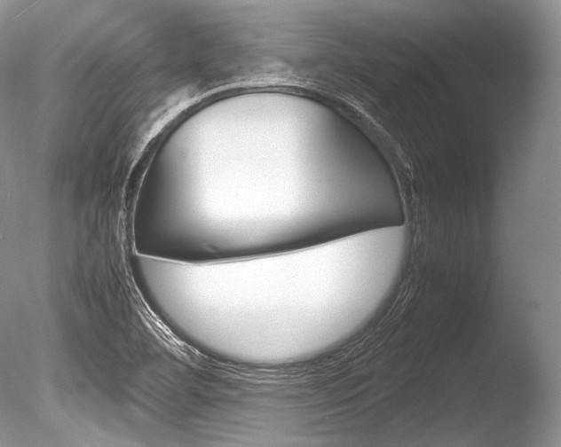 X0000086311460200703300943