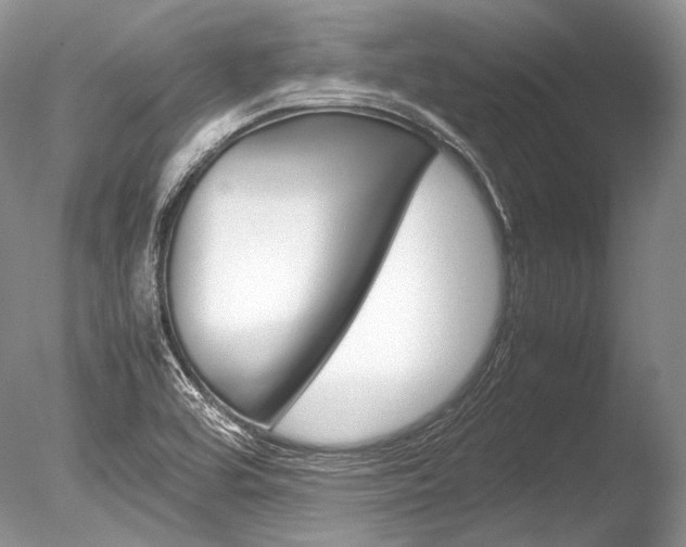 X0000086311464200703300943
