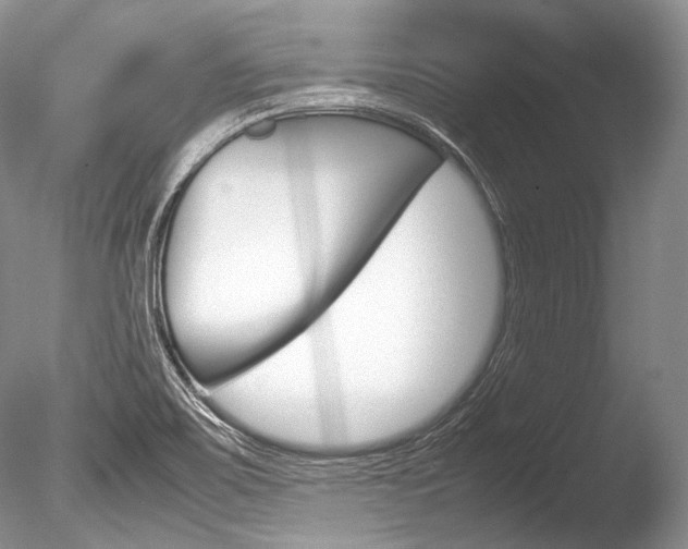 X0000086311467200703300943