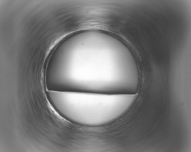 X0000086311468200703300943