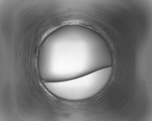 X0000086311473200703300943