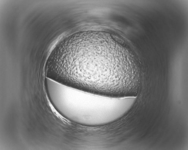 X0000086311479200703300943