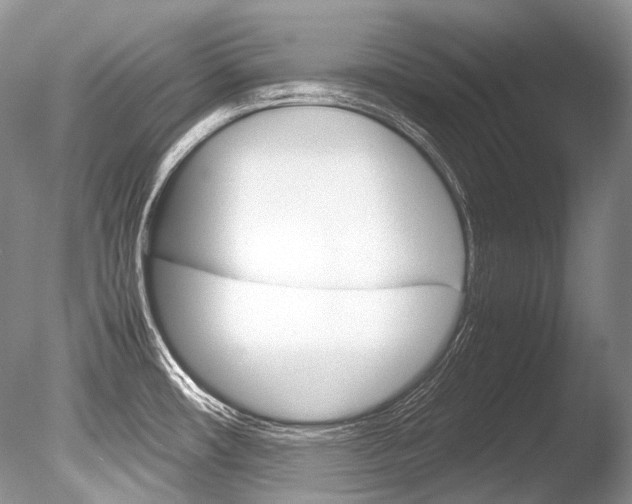 X0000086311482200703300943