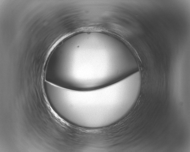 X0000086311484200703300943