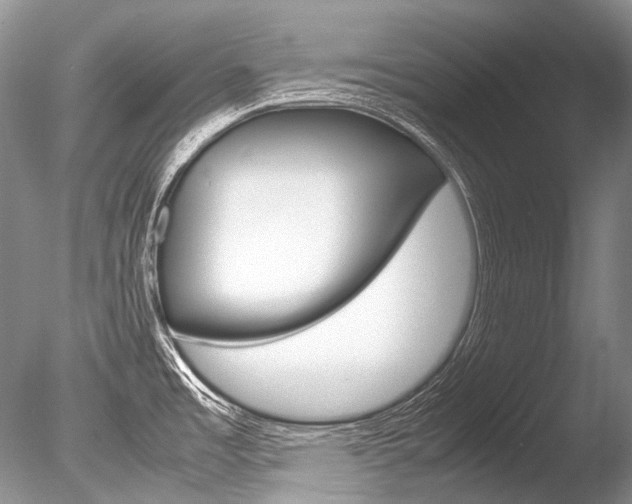 X0000086311485200703300943