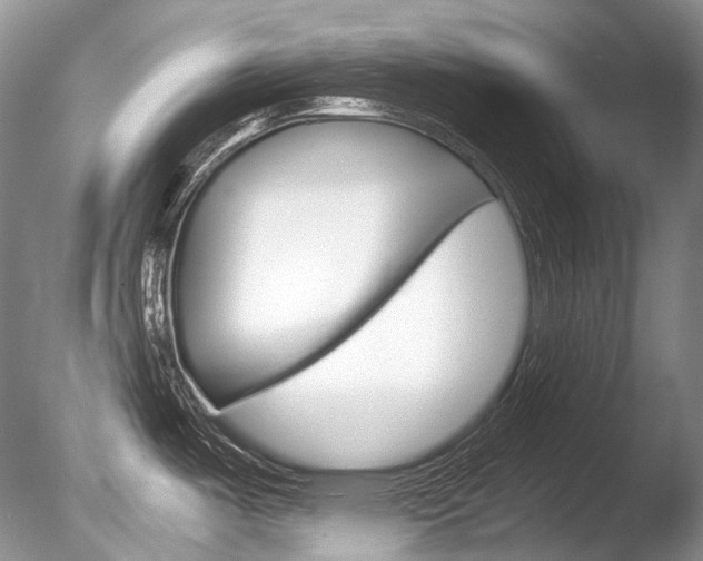 X0000086311487200703300943
