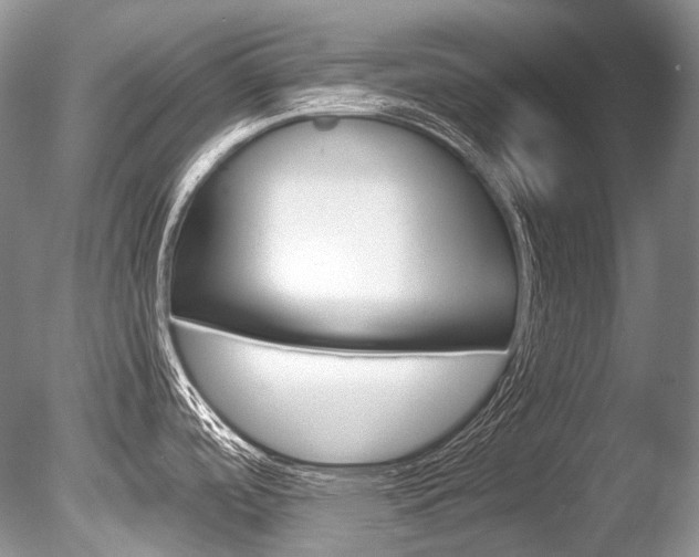 X0000086311488200703300943