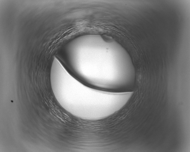 X0000086311490200703300942