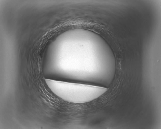 X0000086311493200703300942