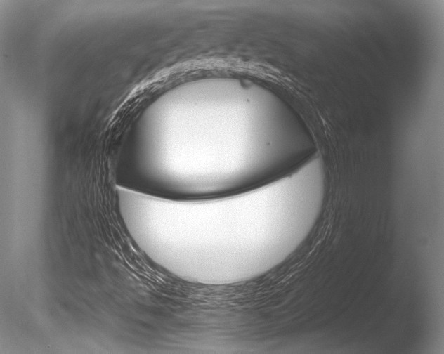X0000086311494200703300942