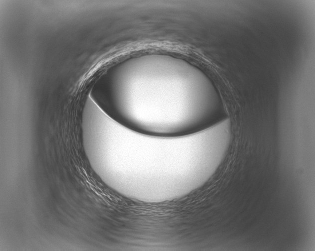 X0000086311496200703300942