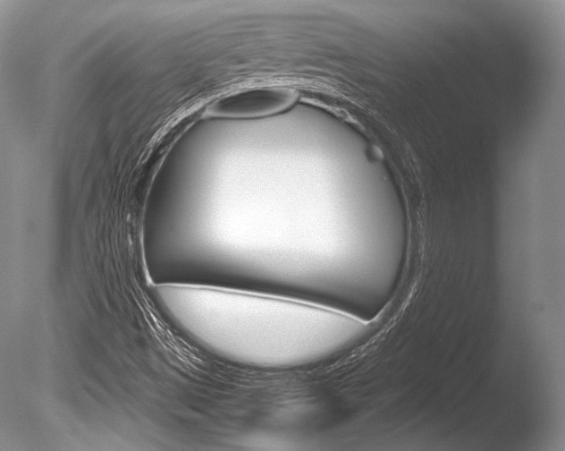 X0000086311497200703300942