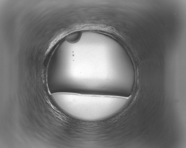 X0000086311501200703300942