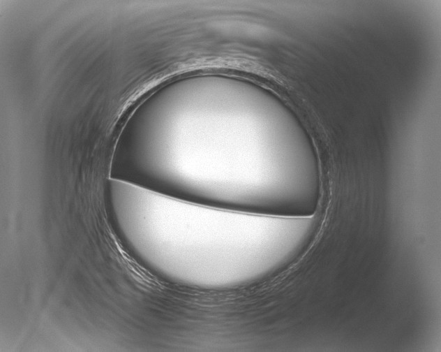 X0000086311505200703300942