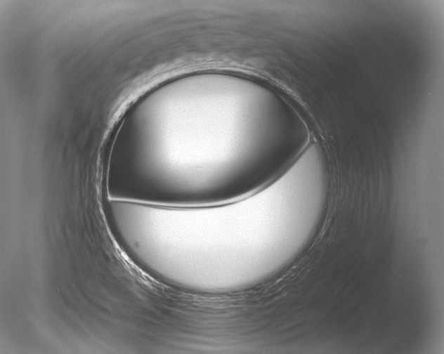 X0000086311508200703300942