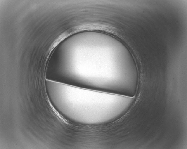 X0000086311521200703300943