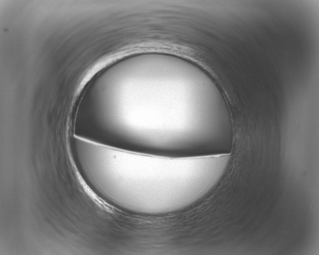 X0000086311523200703300943