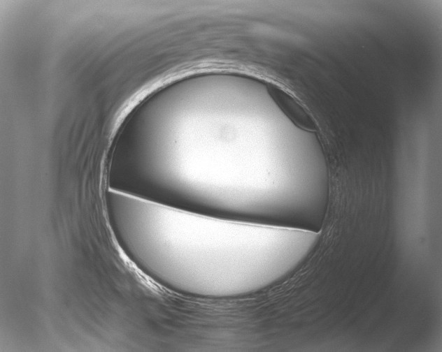 X0000086311527200703300943