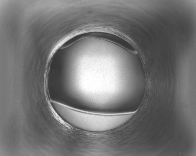 X0000086311528200703300943
