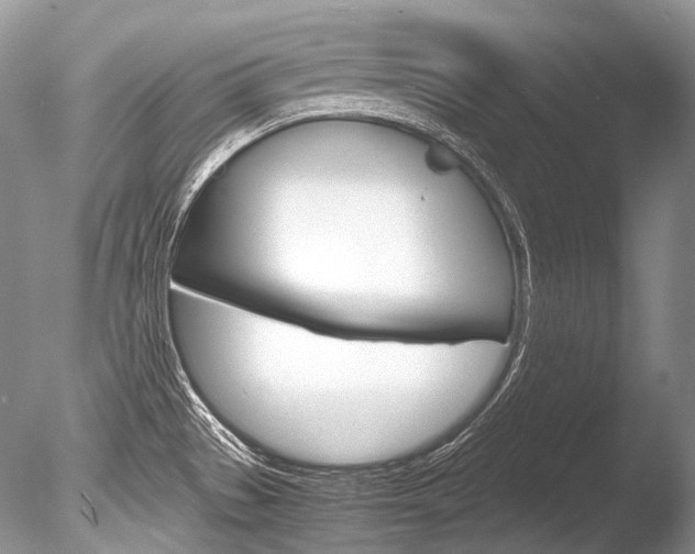 X0000086311529200703300943