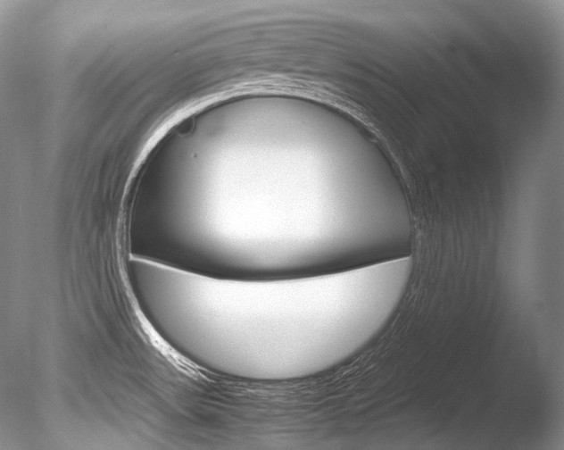 X0000086311531200703300943